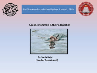 Shri Shankaracharya Mahavidyalaya, Junwani , Bhilai
Dr. Sonia Bajaj
(Head of Department)
Aquatic mammals & their adaptation
 