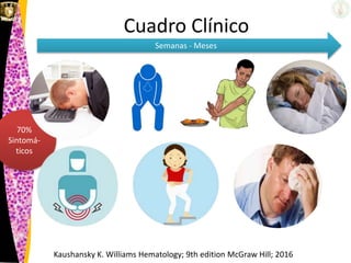 Cuadro Clínico
Kaushansky K. Williams Hematology; 9th edition McGraw Hill; 2016
70%
Sintomá-
ticos
Semanas - Meses
 
