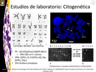 Estudios de laboratorio: Citogenética
Cariotipo: Bandeo con Giemsa
• Ph - t(9;22)(q34;q11)(BCR-ABL1)
• 70% CML en F. crónica
• 20%- [t(Ph),-Y], 8 [t(Ph),+8], 9q+
[t(Ph), 22q-]
• 5% Cambios complejos
Kaushansky K. Williams Hematology; 9th edition McGraw Hill; 2016 / Hoffman R. HEMATOLOGY: Basic Principles and Practice; 6th ed Elsevier
Saunders; 2012
FISH
Traslocaciones inusuales e13a2 (b2a2) or e14a2 (b3a2)
 