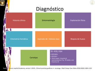 Diagnóstico
Radich J. hronic myeloid leukemia, version 1.2019., Clinical practive guidlines in oncology. J Natl Compr Canc Netw 2018;16(9):1108–1135
Historia clínica Sintomatología Exploración física
Citometria hemática Aspirado de médula ósea Biopsia de hueso
Cariotipo
TR –PCR, FISH
• BCR/ABL1
• ACA/ph+
• Ruta mayor: trisomia 8,
isocromosoma 17q, Ph doble, and
trisomia 19
 