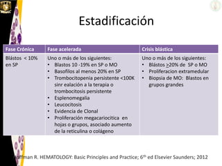 Estadificación
Fase Crónica Fase acelerada Crisis blástica
Blástos < 10%
en SP
Uno o más de los siguientes:
• Blastos 10 -19% en SP o MO
• Basofilos al menos 20% en SP
• Trombocitopenia persistente <100K
sinr ealación a la terapia o
trombocitosis persistente
• Esplenomegalia
• Leucocitosis
• Evidencia de Clonal
• Proliferación megacariocitica en
hojas o grupos, asociado aumento
de la reticulina o colágeno
Uno o más de los siguientes:
• Blástos >20% de SP o MO
• Proliferacion extramedular
• Biopsia de MO: Blastos en
grupos grandes
Hoffman R. HEMATOLOGY: Basic Principles and Practice; 6th ed Elsevier Saunders; 2012
 
