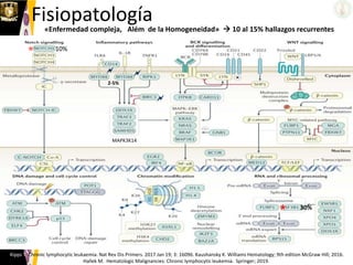 Fisiopatología
Kipps T. Chronic lymphocytic leukaemia. Nat Rev Dis Primers. 2017 Jan 19; 3: 16096. Kaushansky K. Williams Hematology; 9th edition McGraw Hill; 2016.
Hallek M. Hematologic Malignancies: Chronic lymphocytic leukemia. Springer; 2019.
«Enfermedad compleja, Além de la Homogeneidad»  10 al 15% hallazgos recurrentes
 30%
 10%

MAPK3K14
 
2-5%
 