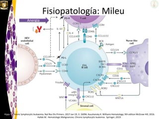 Fisiopatología: Mileu
Kipps T. Chronic lymphocytic leukaemia. Nat Rev Dis Primers. 2017 Jan 19; 3: 16096. Kaushansky K. Williams Hematology; 9th edition McGraw Hill; 2016.
Hallek M. Hematologic Malignancies: Chronic lymphocytic leukemia. Springer; 2019.
PD-L
PD-R
Anergia
 