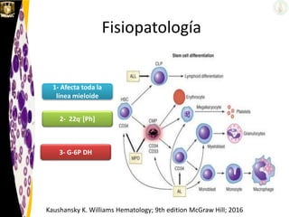 Fisiopatología
1- Afecta toda la
línea mieloide
2- 22q- [Ph]
3- G-6P DH
Kaushansky K. Williams Hematology; 9th edition McGraw Hill; 2016
 