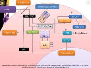 Kaushansky K. Williams Hematology; 9th edition McGraw Hill; 2016 / Hoffman R. HEMATOLOGY: Basic Principles and Practice; 6th ed Elsevier
Saunders/ Hehlmann R. Chonic Myeloid Leukemia; 1st edition, Springer; 2016
P160 SK / ThK
JAK- STAT
Milieu
Proliferación
MYC
RAS- MAPK
ABL
BCR1 –
-SH1
-SH2
-SH3
Bcl-2 -BclX
Apoptosis
Degradación
CDK
P27
P-
Proteínas de anclaje
 Adherencia
Transcripción
Bax/Bal
P-
 