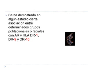 Se ha demostrado en algún estudio cierta asociación entre determinados grupos poblacionales o raciales con AR y HLA DR-1, DR-9 y DR-10