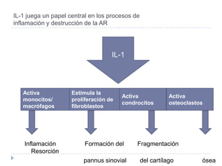 IL-1 juega un papel central en los procesos deinflamación y destrucción de la ARIL-1Inflamación                 Formación del        Fragmentación            Resorciónpannus sinovial        del cartílago                 ósea   Activamonocitos/macrófagosEstimula laproliferación defibroblastosActivacondrocitosActivaosteoclastos