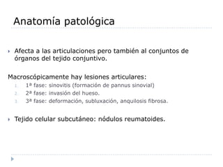 Anatomía patológicaAfecta a las articulaciones pero también al conjuntos de órganos del tejido conjuntivo.Macroscópicamente hay lesiones articulares:1ª fase: sinovitis (formación de pannus sinovial)2ª fase: invasión del hueso.3ª fase: deformación, subluxación, anquilosis fibrosa.Tejido celular subcutáneo: nódulos reumatoides. 