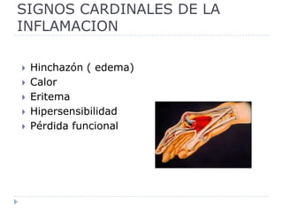 SIGNOS CARDINALES DE LA INFLAMACIONHinchazón ( edema)CalorEritemaHipersensibilidadPérdida funcional