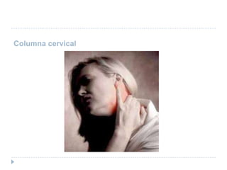 Columna cervical