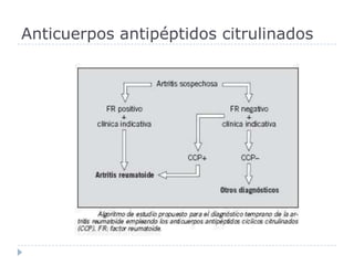 Anticuerpos antipéptidos citrulinados