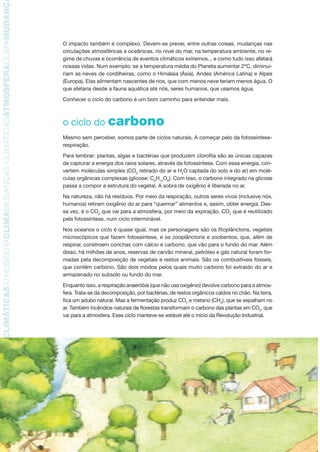 TMOSFERACLIMAMUDANÇASCLIMÁTICASATMOSFERACLIMAMUDANÇASCLIMÁTICASATMOSFERACLIMAMUDANÇAS
10
O impacto também é complexo. Devem-se prever, entre outras coisas, mudanças nas
circulações atmosféricas e oceânicas, no nível do mar, na temperatura ambiente, no re-
gime de chuvas e ocorrência de eventos climáticos extremos... e como tudo isso afetará
nossas vidas. Num exemplo: se a temperatura média do Planeta aumentar 2ºC, diminui-
riam as neves de cordilheiras, como o Himalaia (Ásia), Andes (América Latina) e Alpes
(Europa). Elas alimentam nascentes de rios, que com menos neve teriam menos água. O
que afetaria desde a fauna aquática até nós, seres humanos, que usamos água.
Conhecer o ciclo do carbono é um bom caminho para entender mais.
o ciclo do carbono
Mesmo sem perceber, somos parte de ciclos naturais. A começar pelo da fotossíntese-
respiração.
Para lembrar: plantas, algas e bactérias que produzem clorofila são as únicas capazes
de capturar a energia dos raios solares, através da fotossíntese. Com essa energia, con-
vertem moléculas simples (CO2
retirado do ar e H2
O captada do solo e do ar) em molé-
culas orgânicas complexas (glicose: C6
H12
O6
). Com isso, o carbono integrado na glicose
passa a compor a estrutura do vegetal. A sobra de oxigênio é liberada no ar.
Na natureza, não há resíduos. Por meio da respiração, outros seres vivos (inclusive nós,
humanos) retiram oxigênio do ar para “queimar” alimentos e, assim, obter energia. Des-
sa vez, é o CO2
que vai para a atmosfera, por meio da expiração. CO2
que é reutilizado
pela fotossíntese, num ciclo interminável.
Nos oceanos o ciclo é quase igual, mas os personagens são os fitoplânctons, vegetais
microscópicos que fazem fotossíntese, e os zooplânctons e zoobentos, que, além de
respirar, constroem conchas com cálcio e carbono, que vão para o fundo do mar. Além
disso, há milhões de anos, reservas de carvão mineral, petróleo e gás natural foram for-
madas pela decomposição de vegetais e restos animais. São os combustíveis fósseis,
que contêm carbono. São dois modos pelos quais muito carbono foi extraído do ar e
armazenado no subsolo ou fundo do mar.
Enquanto isso, a respiração anaeróbia (que não usa oxigênio) devolve carbono para a atmos-
fera. Trata-se da decomposição, por bactérias, de restos orgânicos caídos no chão. Na terra,
fica um adubo natural. Mas a fermentação produz CO2
e metano (CH4
), que se espalham no
ar. Também incêndios naturais de florestas transformam o carbono das plantas em CO2
, que
vai para a atmosfera. Esse ciclo manteve-se estável até o início da Revolução Industrial.
AF caderno ar.indd 10AF caderno ar.indd 10 6/3/2008 5 33 43 PM6/3/2008 5 33 43 PM
 
