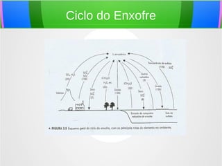 Ciclo do Enxofre
 
