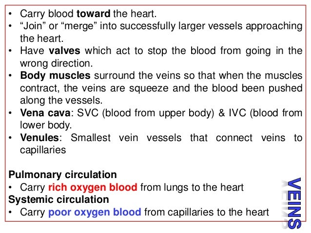 blood vessels arteries veins and capillaries very small vessels that collect blood from the capillaries and join to form veins are