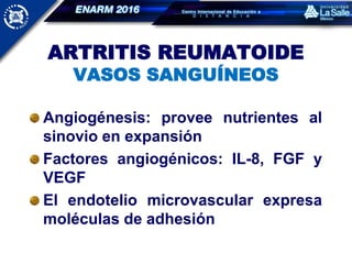ARTRITIS REUMATOIDE
VASOS SANGUÍNEOS
Angiogénesis: provee nutrientes al
sinovio en expansión
Factores angiogénicos: IL-8, FGF y
VEGF
El endotelio microvascular expresa
moléculas de adhesión
 