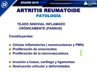 ARTRITIS REUMATOIDE
PATOLOGÍA
TEJIDO SINOVIAL INFLAMADO
CRÓNICAMENTE (PANNUS)
Constituyentes:
Células inflamatorias ( mononucleares y PMN)
Proliferación de sinoviocitos
Proliferación de la microvasculatura
Invasión a hueso, cartílago y ligamentos
Destrucción articular y deformidades
 