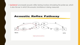 auditory reflex pathway