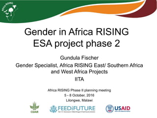 Gender in Africa RISING
ESA project phase 2
Gundula Fischer
Gender Specialist, Africa RISING East/ Southern Africa
and West Africa Projects
IITA
Africa RISING Phase II planning meeting
5 - 8 October, 2016
Lilongwe, Malawi
 