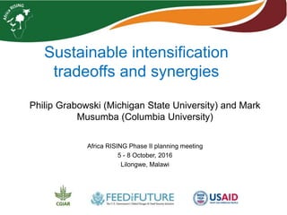 Sustainable intensification
tradeoffs and synergies
Philip Grabowski (Michigan State University) and Mark
Musumba (Columbia University)
Africa RISING Phase II planning meeting
5 - 8 October, 2016
Lilongwe, Malawi
 