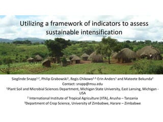 Sustainable intensification indicator framework for Africa RISING
