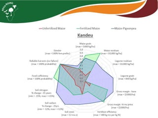 Sustainable intensification indicator framework for Africa RISING