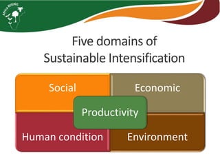 Sustainable intensification indicator framework for Africa RISING