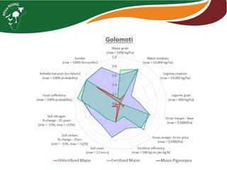 Sustainable intensification indicator framework for Africa RISING