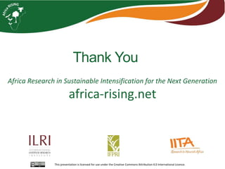 Sustainable intensification indicator framework for Africa RISING