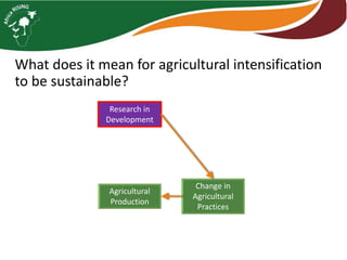 Sustainable intensification indicator framework for Africa RISING