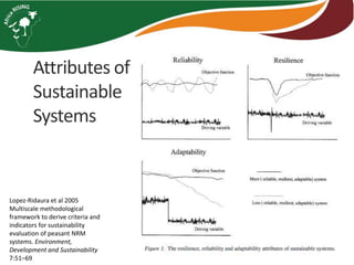 Sustainable intensification indicator framework for Africa RISING