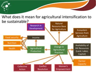 Sustainable intensification indicator framework for Africa RISING