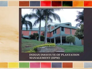 INDIAN INSTITUTE OF PLANTATION
MANAGEMENT (IIPM)
 