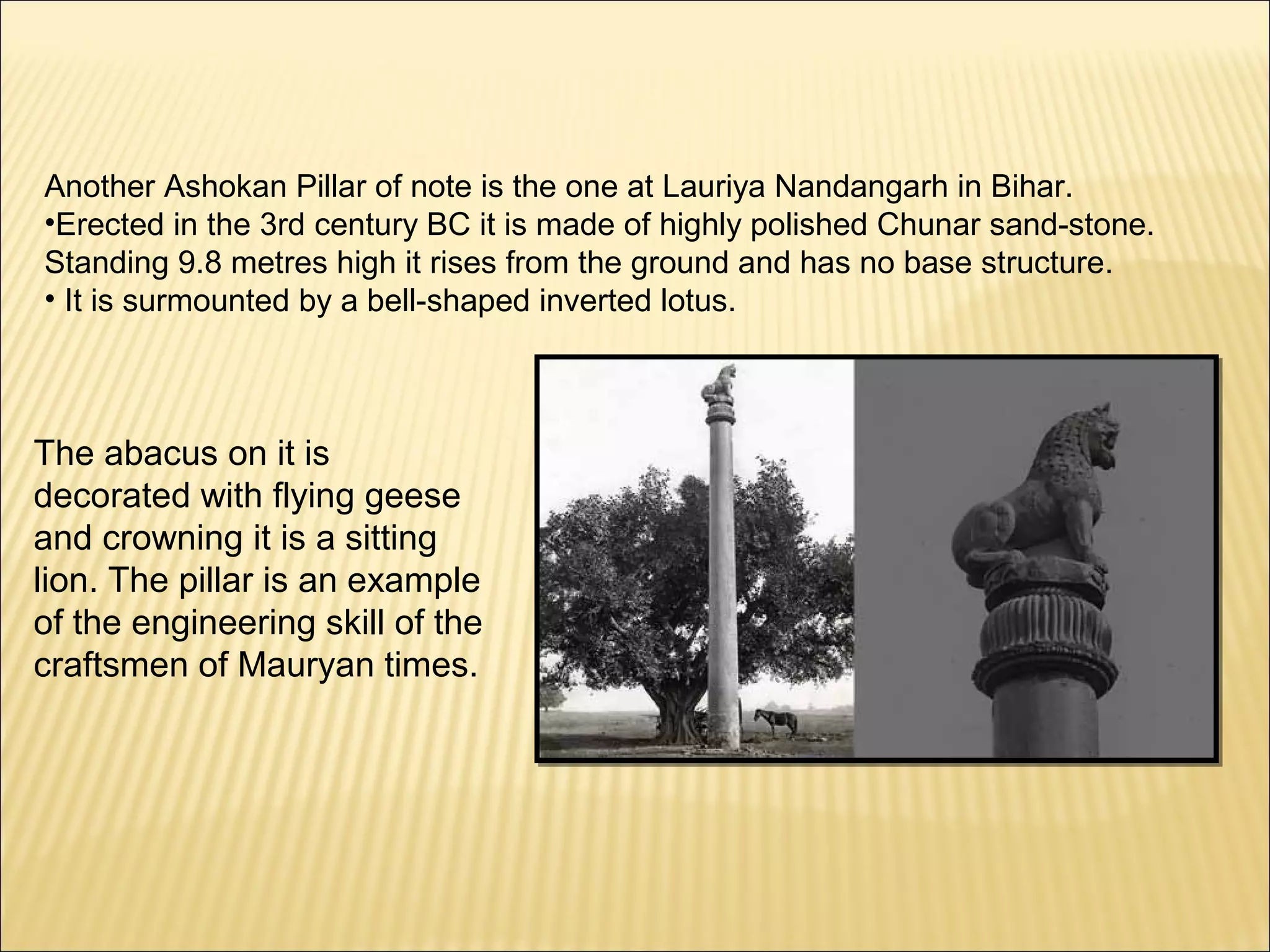 Another Ashokan Pillar of note is the one at Lauriya Nandangarh in Bihar.
•Erected in the 3rd century BC it is made of highly polished Chunar sand-stone.
Standing 9.8 metres high it rises from the ground and has no base structure.
• It is surmounted by a bell-shaped inverted lotus.



The abacus on it is
decorated with flying geese
and crowning it is a sitting
lion. The pillar is an example
of the engineering skill of the
craftsmen of Mauryan times.
 