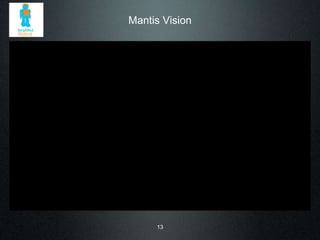 Mantis Vision 
13 
 
