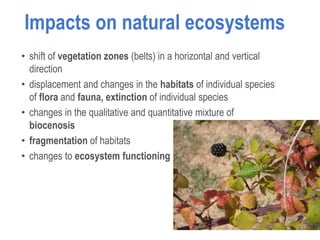 Impacts on natural ecosystems
• shift of vegetation zones (belts) in a horizontal and vertical
direction
• displacement and changes in the habitats of individual species
of flora and fauna, extinction of individual species
• changes in the qualitative and quantitative mixture of
biocenosis
• fragmentation of habitats
• changes to ecosystem functioning
 