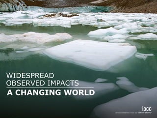 WIDESPREAD 
OBSERVED IMPACTS 
A CHANGING WORLD 
 