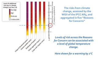 The risks from climate 
change, assessed by the 
WGII of the IPCC AR5, and 
aggregated in five “Reasons 
for Concerns” 
Levels of risk across the Reasons 
for Concern can be associated with 
a level of global temperature 
change. 
Here shown for a warming by 2oC 
 