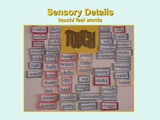 Sensory Details touch/ feel words 