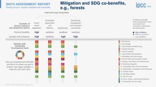 Ipcc Risk Framework Report 6 IPCC 6th Assessment Report- AR6_WGII: Impacts, Adaptation, and ...