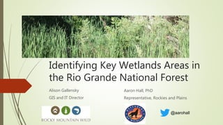 Identifying Key Wetlands Areas in
the Rio Grande National Forest
Alison Gallensky
GIS and IT Director
Aaron Hall, PhD
Representative, Rockies and Plains
@aarohall
 