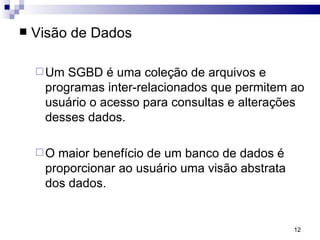 Visão de Dados Um SGBD é uma coleção de arquivos e programas inter-relacionados que permitem ao usuário o acesso para consultas e alterações desses dados.  O maior benefício de um banco de dados é proporcionar ao usuário uma visão abstrata dos dados.  