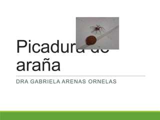 Picadura de
araña
DRA GABRIELA ARENAS ORNELAS
 