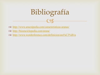 Bibliografía

 http://www.aracnipedia.com/caracteristicas-aranas/
 http://bioenciclopedia.com/arana/
 http://www.wordreference.com/definicion/ara%C3%B1a

 