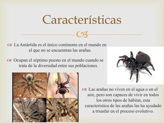 Características

 La Antártida es el único continente en el mundo en
el que no se encuentran las arañas.
 Ocupan el séptimo puesto en el mundo cuando se
trata de la diversidad entre sus poblaciones.

 Las arañas no viven en el agua o en el
aire, pero son capaces de vivir en todos
los otros tipos de hábitat, esta
característica de las arañas las ha ayudado
a triunfar en el proceso evolutivo.

 