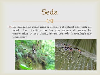 Seda

 La seda que las arañas crean se considera el material más fuerte del
mundo. Los científicos no han sido capaces de recrear las
características de este diseño, incluso con toda la tecnología que
tenemos hoy.

 