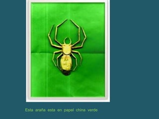 Esta  araña  esta  en  papel  china  verde  