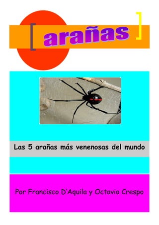 Las 5 arañas más venenosas del mundo




Por Francisco D’Aquila y Octavio Crespo
 