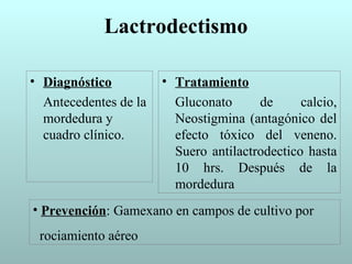 Lactrodectismo

• Diagnóstico          • Tratamiento
  Antecedentes de la     Gluconato      de      calcio,
  mordedura y            Neostigmina (antagónico del
  cuadro clínico.        efecto tóxico del veneno.
                         Suero antilactrodectico hasta
                         10 hrs. Después de la
                         mordedura
• Prevención: Gamexano en campos de cultivo por
 rociamiento aéreo
 