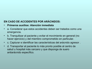 EN CASO DE ACCIDENTES POR ARÁCNIDOS:
• Primeros auxilios: Atención inmediata
• a. Considerar que estos accidentes deben ser tratados como una
  emergencia.
• b. Tranquilizar al paciente y evitar el movimiento en general (no
  hacer ejercicio) y del miembro comprometido en particular.
• c. Capturar e identificar las características del arácnido agresor .
• d. Transportar al paciente lo más pronto posible al centro de
  salud u hospital más cercano y que disponga de suero
  antiarácnido específico.
 