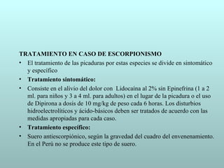 TRATAMIENTO EN CASO DE ESCORPIONISMO
• El tratamiento de las picaduras por estas especies se divide en sintomático
  y específico
• Tratamiento sintomático:
• Consiste en el alivio del dolor con Lidocaína al 2% sin Epinefrina (1 a 2
  ml. para niños y 3 a 4 ml. para adultos) en el lugar de la picadura o el uso
  de Dipirona a dosis de 10 mg/kg de peso cada 6 horas. Los disturbios
  hidroelectrolíticos y ácido-básicos deben ser tratados de acuerdo con las
  medidas apropiadas para cada caso.
• Tratamiento específico:
• Suero antiescorpiónico, según la gravedad del cuadro del envenenamiento.
  En el Perú no se produce este tipo de suero.
 